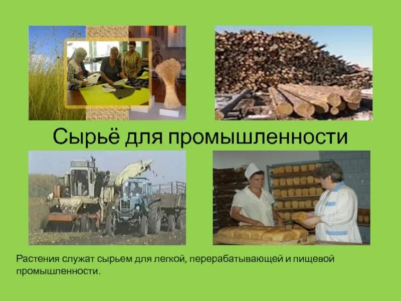 Горно химическая апатиты фосфориты калийная соль сырьевой. Классификация сырья для химической промышленности. Сырьевая база химической промышленности. Сырье для химической промышленности. Горнозимическое сырье.