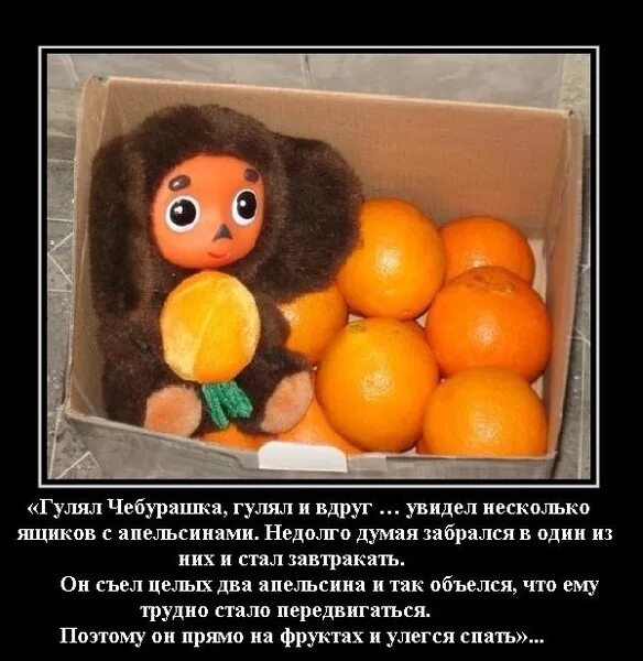 Пословица не родятся апельсинки