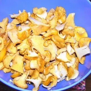 Лисички грибы замороженные рецепты приготовления