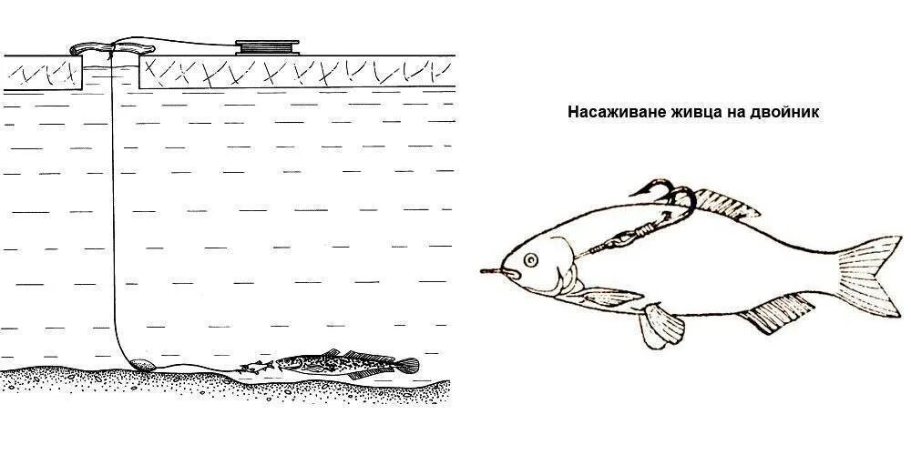 Оснастка поставушки на налима. Зимняя ловля налима на поставушки. Жерлица на налима зимой оснастка. Ловля налима зимой на жерлицы оснастка.