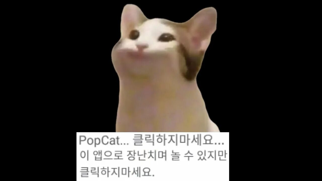Кот с круглым ртом мем Майстерня Steam::Pop Cat Bohemian Rhapsody full