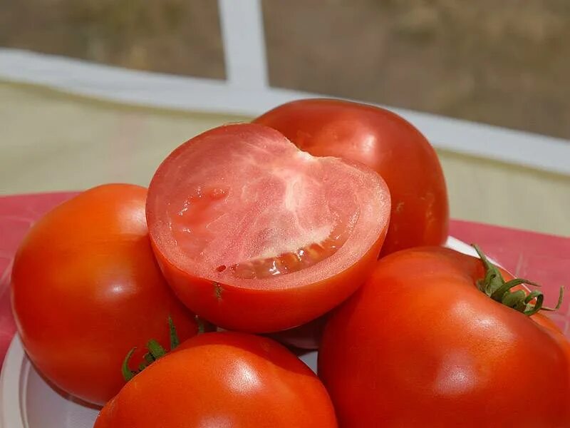 Томат аляска описание. Томат Бобкат f1. Семена томат Бобкат f1. Семена помидора Бобкат f1. Бобкат f1 томат характеристика.