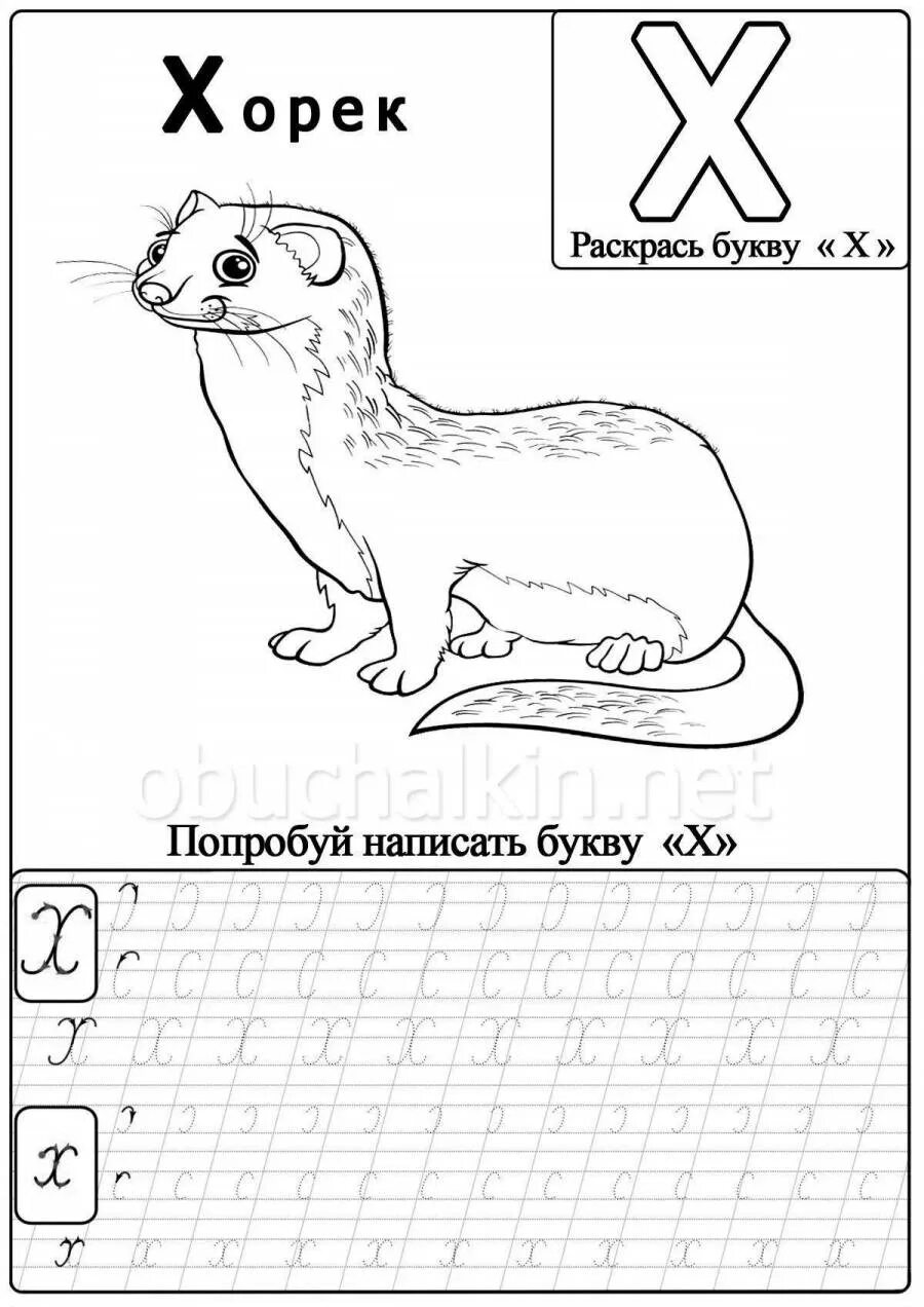 Буква x для дошкольников. Буква ж задания для дошкольников. Буква х задания. Пропись буква х для дошкольников. Буква х задания для дошкольников.