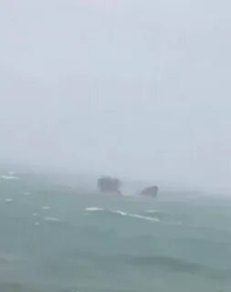 Что произошло в черном море