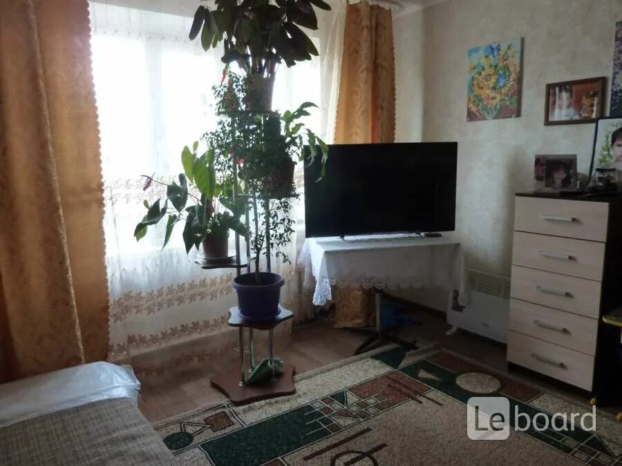 Авито кувшиново тверская квартиры