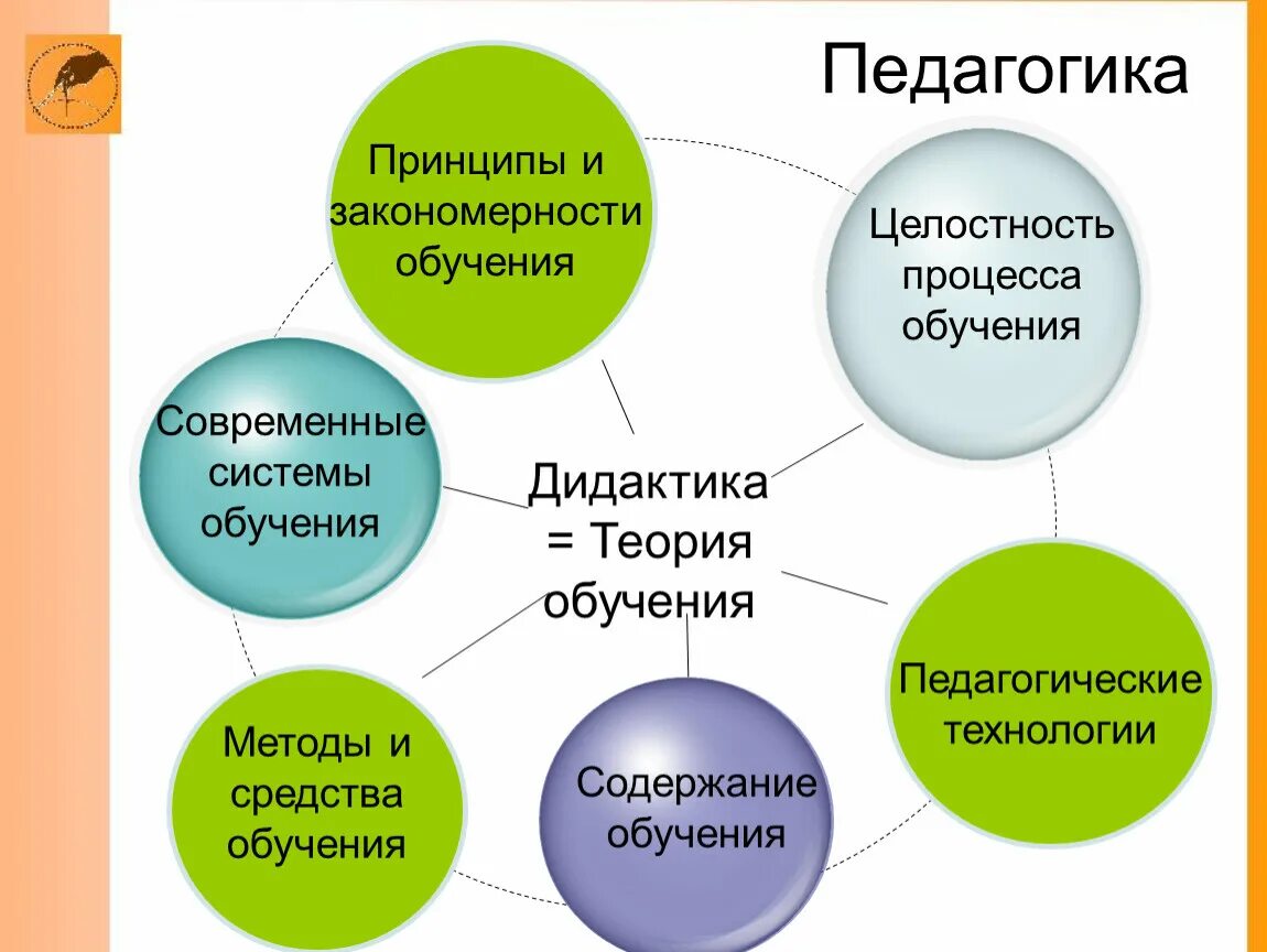 Обучение в педагогике. Педагогические принципы. Педагогические принципы обучения. Принципы обучения в педагогике. Основные педагогические принципы обучения.