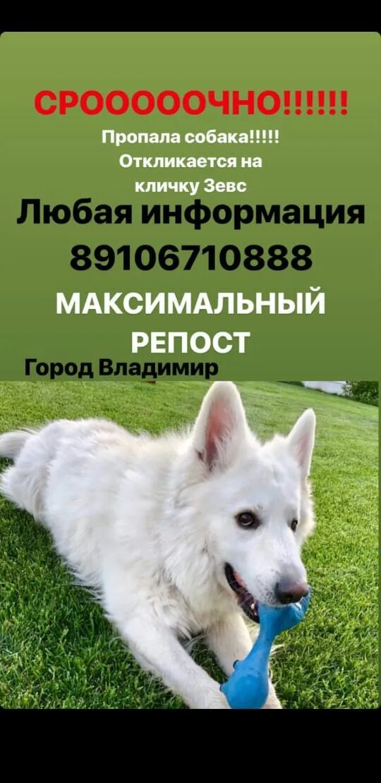 объявление о продаже совбки.