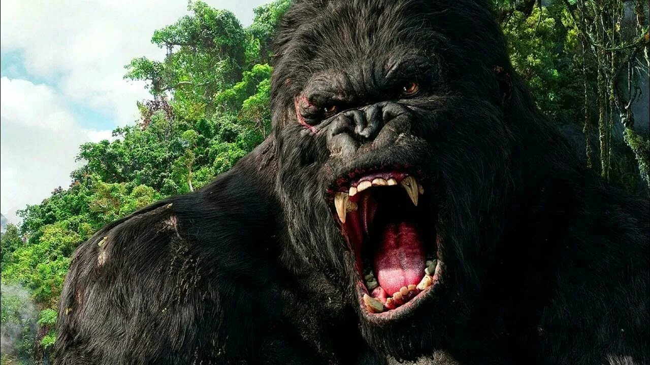 King kong терапусмордакс. Кинг-конг остров черепа 2005. Кинг-конг жив 2005. Кинг конг 2017. Включи про кинг конга.