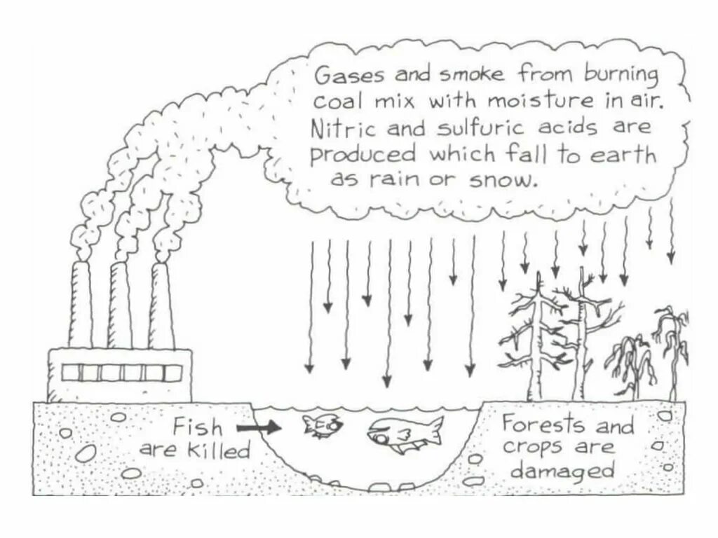 Кислотные дожди схема. Кислотный дождь рисунок. Схема кислотных дождей на англ. Кислотные дожди плакат. Текст по английскому 7 класс acid rain