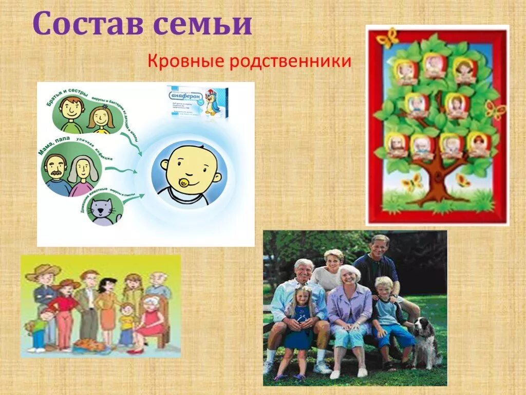 Состав семьи родственники. Состав семьи. Кровные родственники это. Состав семьи родство. Семья состав семьи.