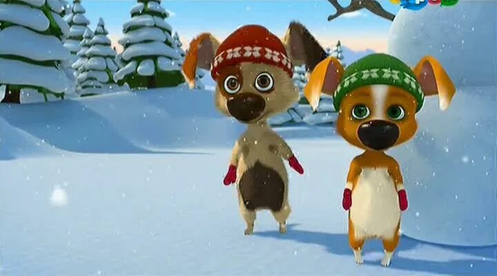 Белка и стрелка спортивная команда