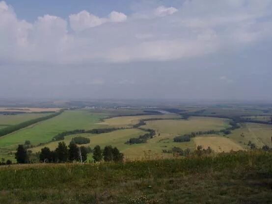 Кузнецкая впадина. Кузнецкая впадина. Кузнецкая впадина. Кузнецкая впадина. Кузнецкая котловина низменность на карте.