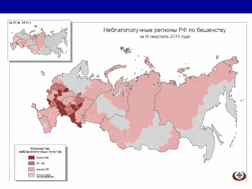 Сколько людей умерло от бешенства. Неблагополучные регионы по бешенству. Природные очаги бешенства. Бешенство в регионах России. Бешенство карта.