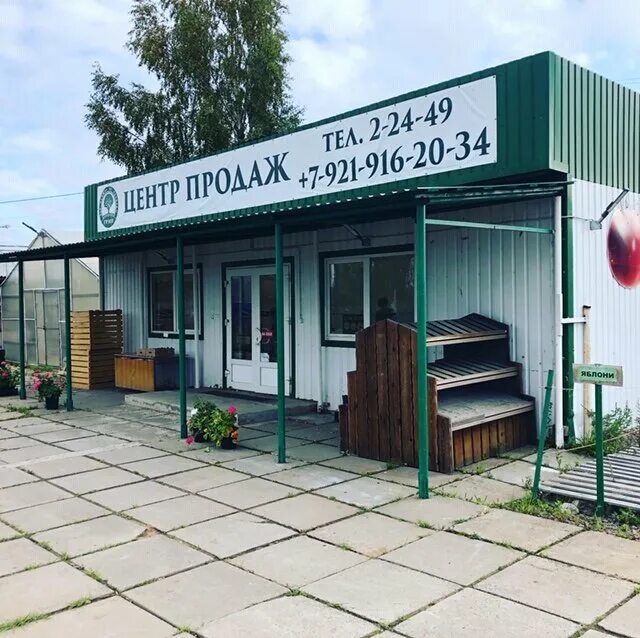 агрофирма спб. сосновый бор ленинградская область агрофирма роса. ооо агрофирма „рассвет“. агрофирма лето санкт-петербург. агрофирма поиск.