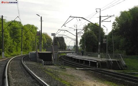 Новопетровское шаховская