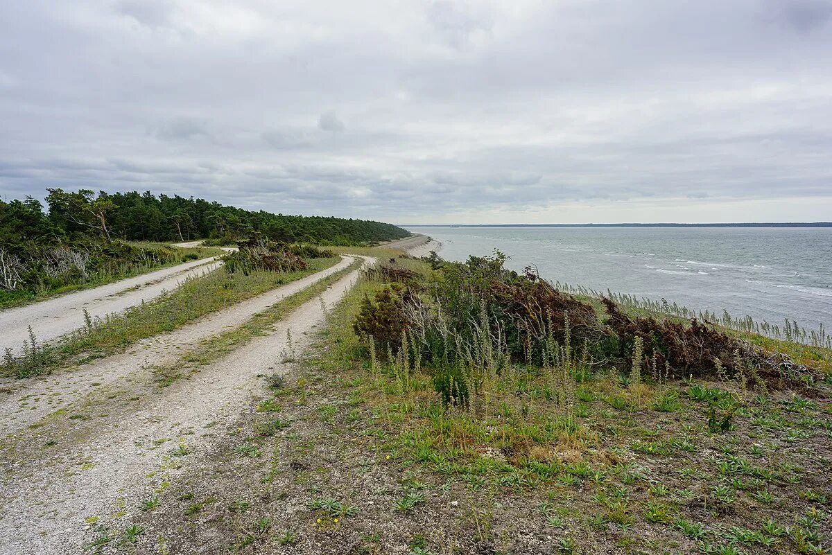 Coast areas. Борозды на острова Готланд. Degradation of Coastal area.