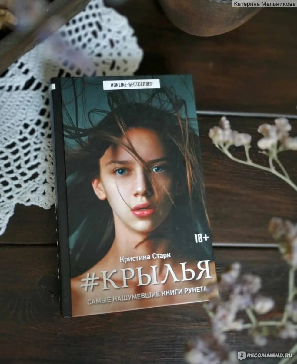 Книга крылья старк