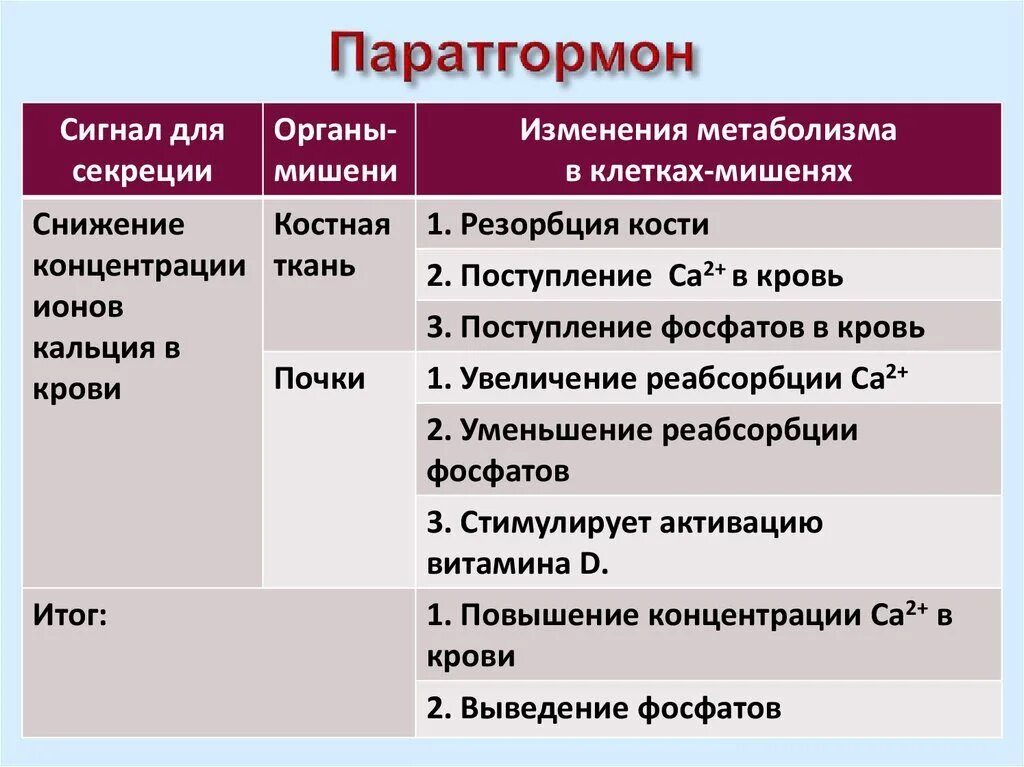 Паратгормон как правильно