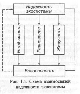 Безопасность экосистемы