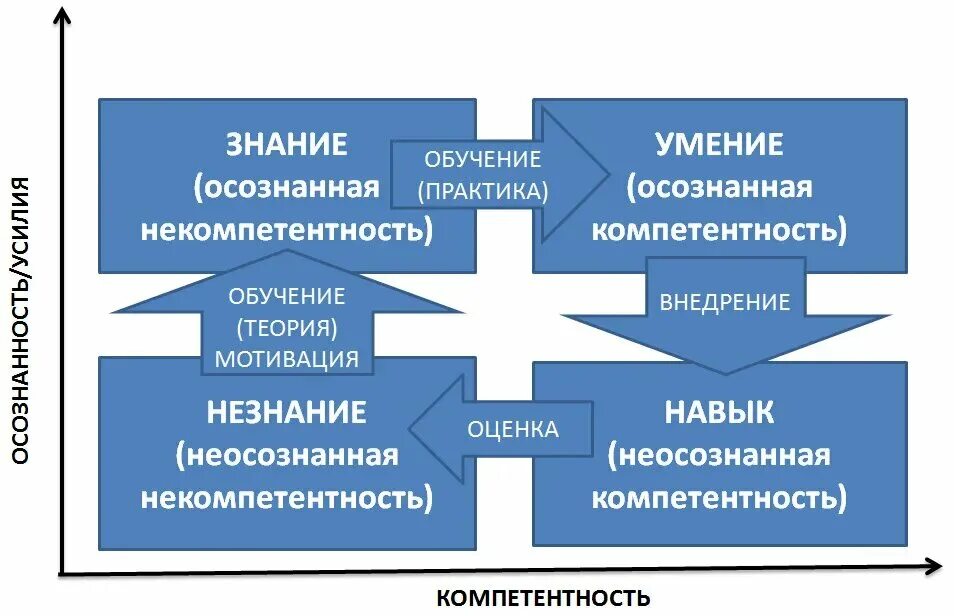 Проявить некомпетентность. Знания умения навыки. Осознанная и неосознанная компетентность. Знания умения навыки компетенции. Знания умения опыт.