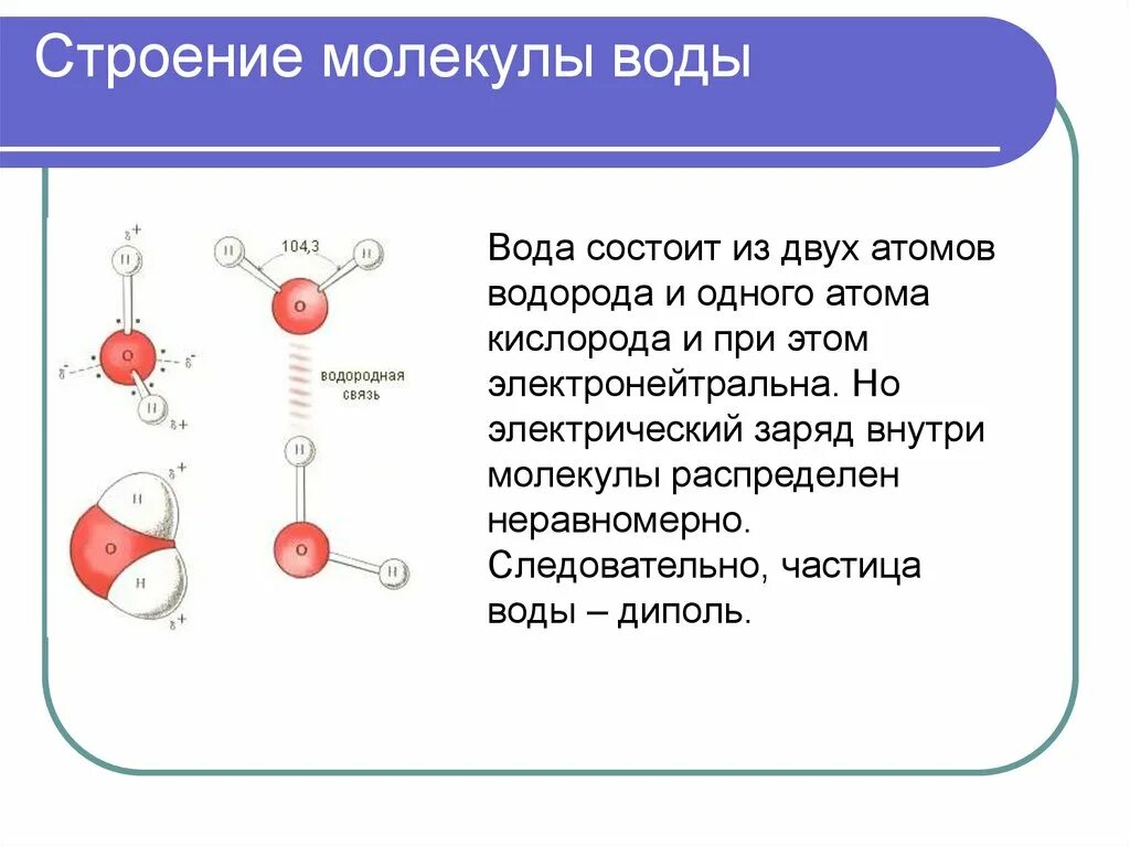 Вода состав свойства функции