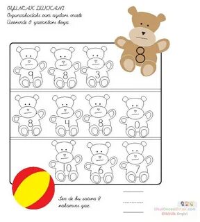 Bear number one