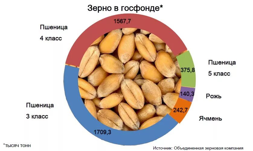 Классы зерна пшеницы. 4 Класс зерна пшеницы. Продовольственное зерно классы. Классы зерна пшеницы таблица.