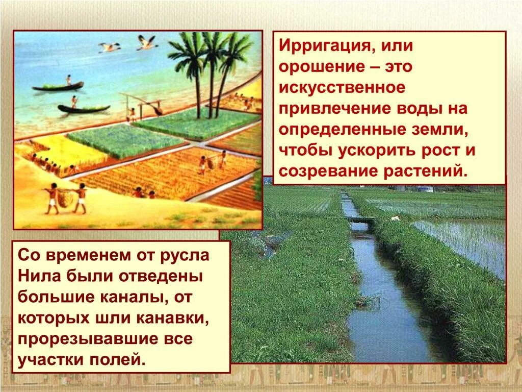 Орошение полей в древнем. Что такое орошение в древнем Египте. Орошение полей в древнем Египте.