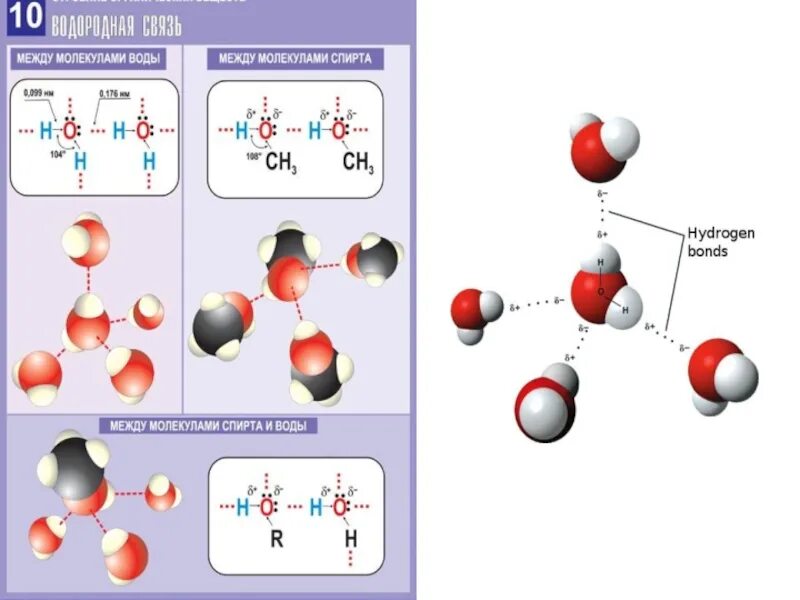 Схема образования водородной связи между молекулами воды. Водородная химическая связь схема. Водородная связь между молекулами воды схема. Схема образования водородной связи между молекулами спирта и воды. Между молекулами спиртов образуются связи