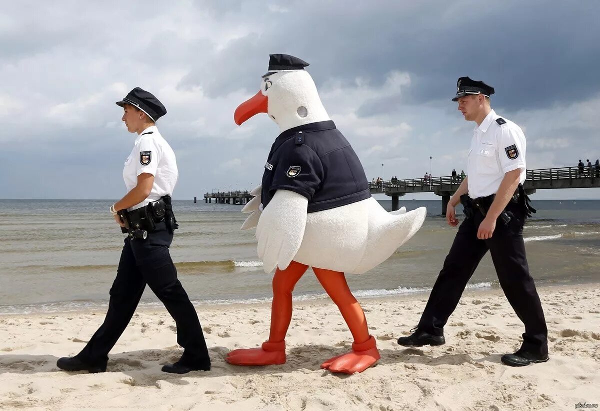 Веселое морская 1. Полиция на море. Смешная форма полиции. Гусь в форме полиции. Смешной моряк.