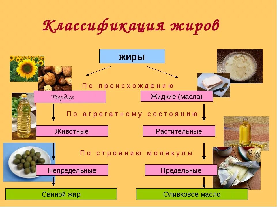 Жиры относятся к группе. Классификация растительных жиров. Классификация жиров химия кратко. Классификация твердых жиров. Жиры по происхождению схема.