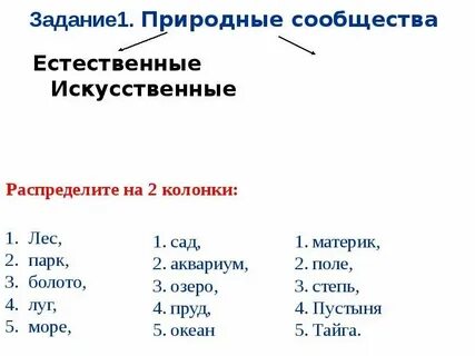 Натуральные и искусственные цвета