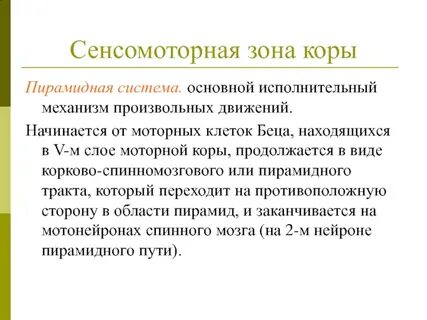 Сенсо моторный