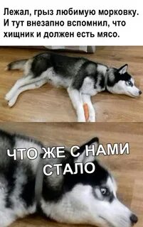 Тут внезапно