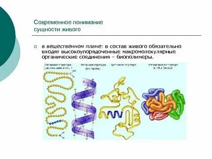 Отличия регулярных и нерегулярных биополимеров