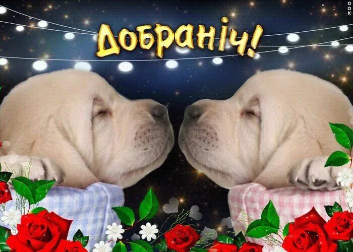 Pin by Silvana Cargoe on Animals Sleeping puppies, Cute dogs, Cute puppies