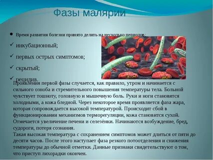 Малярия что это за болезнь