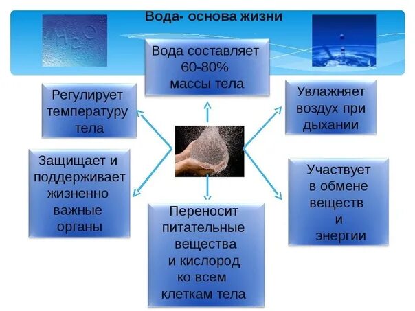 Значение воды 8 класс. Вода основа жизни. Важность воды в жизни человека. Роль воды для человека. Роль воды в жизни человека.