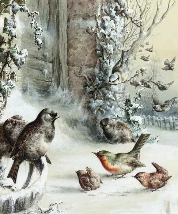 Зимний винтаж. Harry bright (1846-1895) акварель. художник harry bright. зима для декупажа. винтаж птицы животные зима.