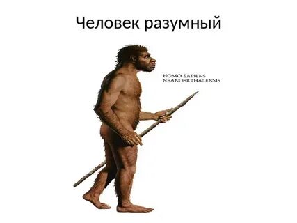 Нерасторопный человек 6