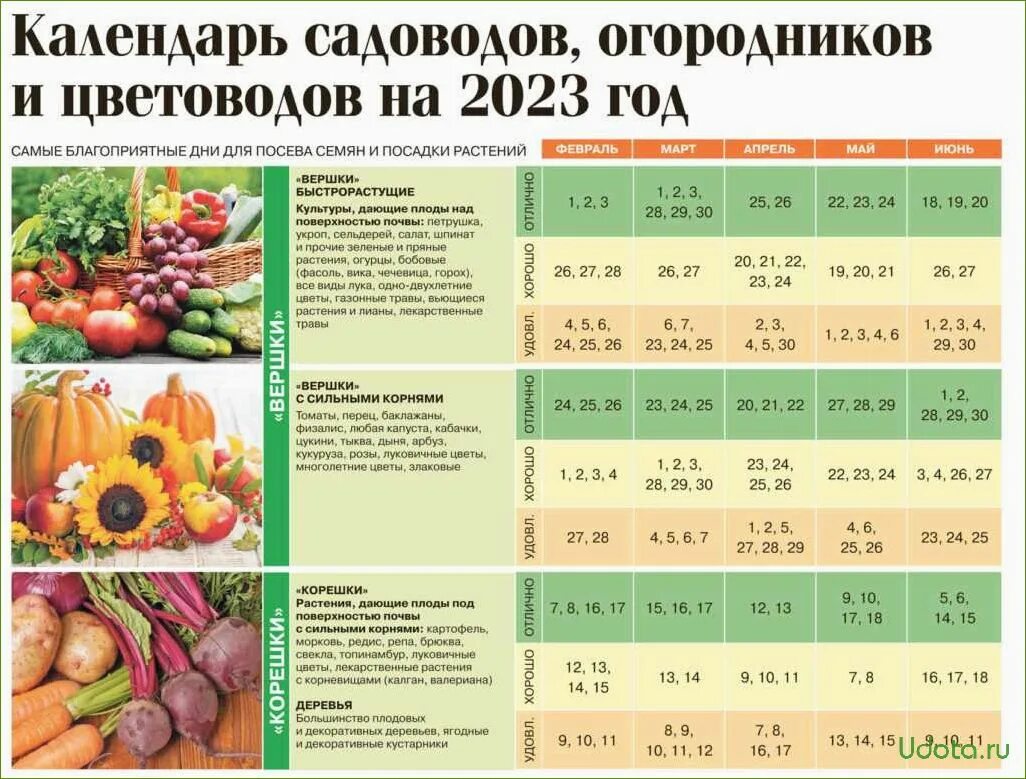 Лунный календарь посадки овощей на 2024 год