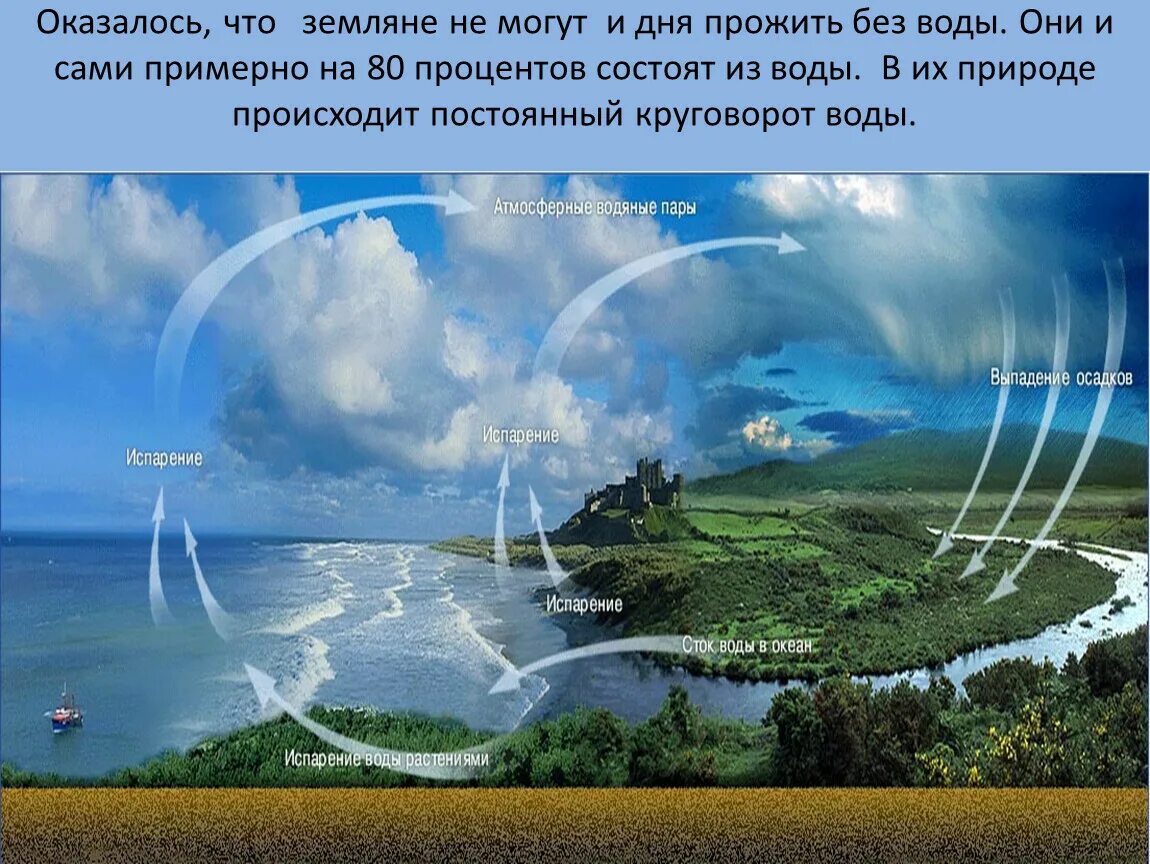 Лев толстой куда девается вода из моря