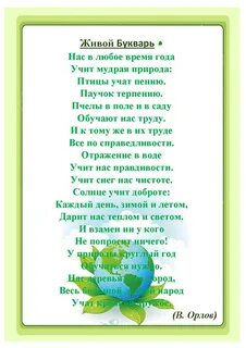 Нас в любое время года учит