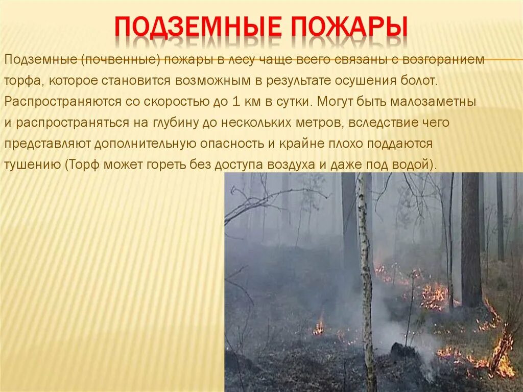 Выберите правильное определение пожар. Лесные и торфяные пожары. подземный торфяной пожар. лесные пожары обж. подземный пожар в лесу.