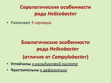 Особенности рода