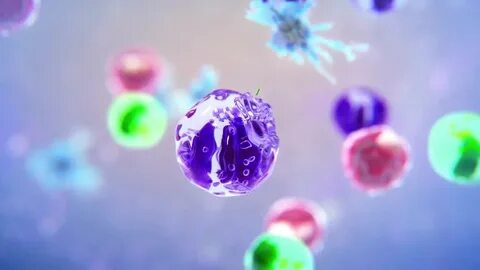 Immune