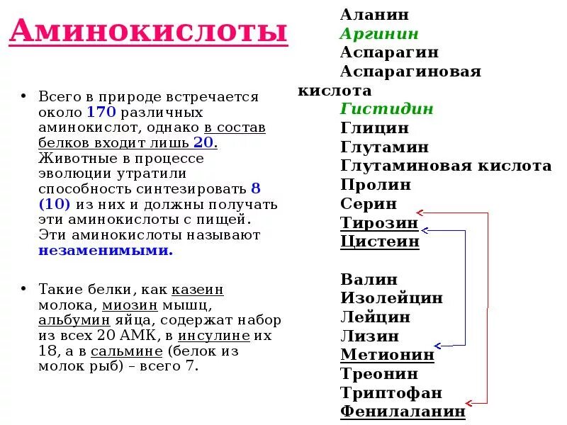 Значение аминокислот и белков. Незаменимые аминокислоты для человека список. аминокислоты нахождение в природе. важность аминокислот.