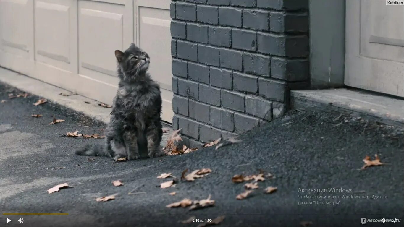 Сосед с томом хэнксом. Том хэнкс мой ужасный сосед.