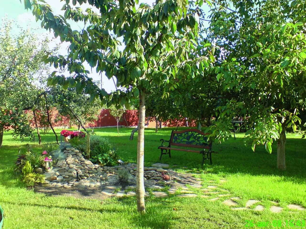 Посадка плодовых деревьев на участке. Ландшафт яблони Сморода. Яблоневый сад на 10 сотках. Аркадия Гарден плодовый сад. Яблоневый сад в ландшафте дачного участка.