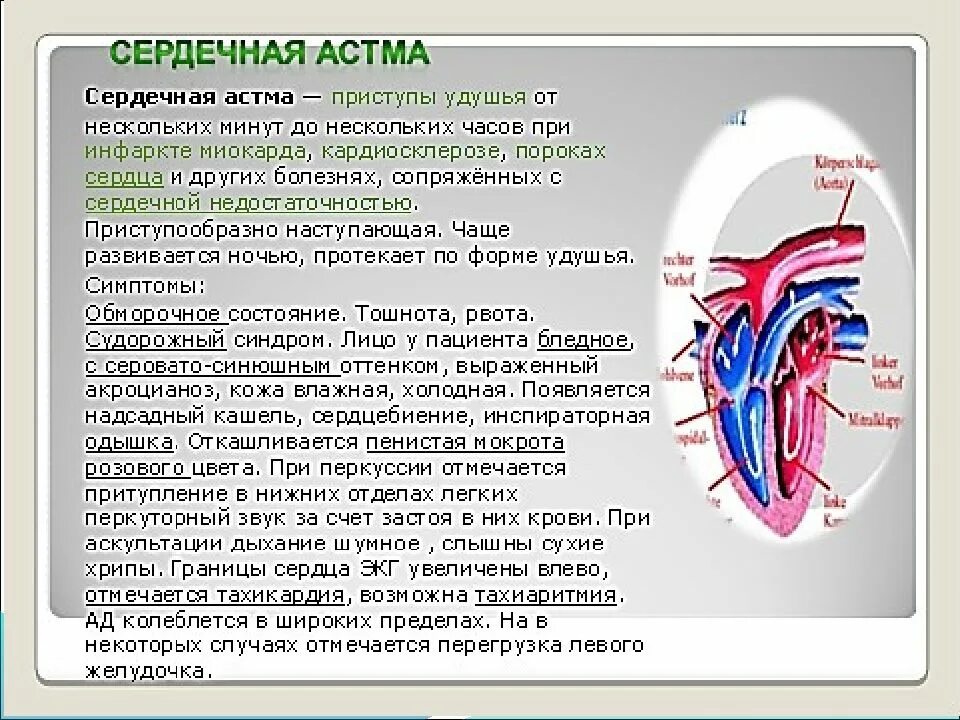 Что значит сердце увеличено влево. Сердечная астма рентген. границы сердца при сердечной астме. при сердечной астме границы сердца чаще расширены. границы сердца расширены влево.
